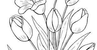 Wow, tentunya hal tersebut akan terasa sangat indah. Gambar Mewarnai Bunga Tulip Terbaru Gambarcoloring