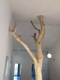 Arbre En Bois Flotte Dans Un Centre De Loisir Meubles En Bois Flotte Bois Flotte Arbre Deco Interieur