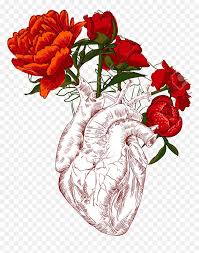 We did not find results for: Draw Human Heart With Flowers Hd Png Download Vhv