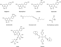 Image result for Thesium goetzeanum