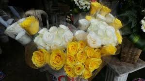 50 gambar bunga mawar tercantik di dunia. Bingung Cari Bunga Mawar Romantis Untuk Valentine Cari Di Sini Saja Fashion Fimela Com