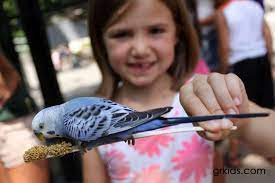 Win A Family 4 Pack Of Tickets To John Ball Zoo Zoo Zoo Activities Ball
