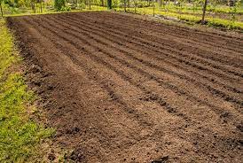 Check spelling or type a new query. How To Till A Garden Everything You Need To Know