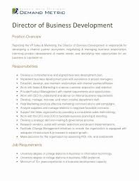 Sales Manager Job Description Resume Best Of Director Of Business Development Job Descrip In 2020 Job Description Template Relationship Management Business Development