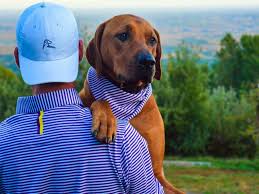 Continue reading this golf club brand ranking to find out top 10 golf brands based on their value and performance. 6 Up And Coming Golf Clothing Brands You Haven T Heard Of Yet But Should Golf Equipment Clubs Balls Bags Golf Digest