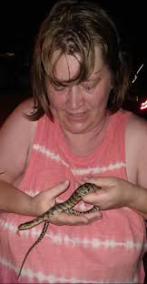 Florida banded Water snake?? Cape Coral FL....my garage tonight.