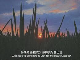 Similarly, spinifex is often found in. Cactus Can T Make Flowers There Is No Way To Hold It In The Palm Of Your Hand Yqqlm