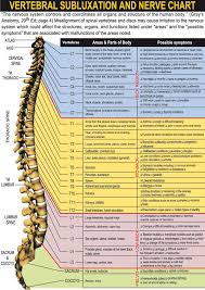 vertebral subluxation and nerve chart on meducation