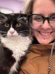 The Cats Sass Rescue ప్రొఫైల్