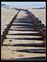 Railroad Cape May Railroad Railroad Tracks