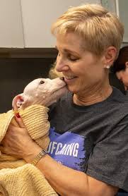 Dimensions 2019 2nd Issue