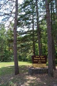 The wild boar campground and sheltered picnic area, available for individual families or large groups, is next to the largest lake in the mark twain national forest. Camping At Berryman Trail Camp Ozarks Walkabout