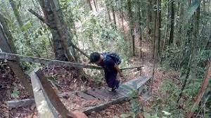 Walaupun ia agak kecil, taman negara lambir hills pasti menumbuk di atas beratnya apabila ia datang kepada semua yang ditawarkan. Taman Negara Bukit Lambir Bukit Pantu Air Terjun Latak Tempat Menarik Di Miri Youtube