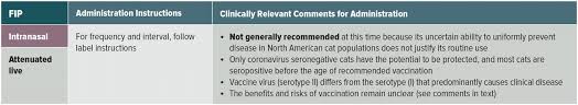 Core vaccines and non core vaccines. Https Www Aaha Org Globalassets 02 Guidelines Feline Vaccination Guidlines Resource Center 2020 Aahaa Afp Feline Vaccination Guidelines Pdf