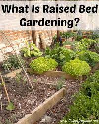 What Is Raised Bed Gardening Raised Bed Gardening Vegetables Raised Garden Beds Vegetable Garden Raised Beds