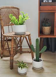 Large ceramic plant pots with drainage. Le Tauci Plant Pots With Drainage Holes And Saucers 4 5 6 5 Ceramic Pots For Plants Planters Indoor Plants Small To Large Sized Set Of 3 Cream White Pricepulse