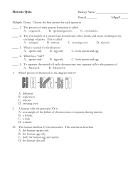 Het=heterozygoe, gives one can and one can't allele figuring out what they can give should be easy from this key (and we can make sure the baggies are put back together right! Meiosis Multiple Choice Questions Meiosis Quiz