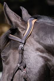 Barefoot Contour Physio Tetiere Brune Ou Noire Tenue D Equitation Vetements Equestres Filet Cheval