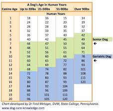Dogs Age In Human Years Dog Chart Weight Dog Ages Dog Care Dog Years