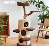 Cat House – MEWCATS
