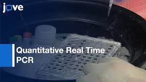 Image result for CSF PCR