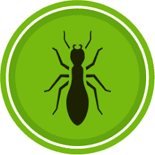 Here in citrus heights, we're constantly striving to foster a community that serves everyone as well as possible. Pest Control Termite Inspections Pinellas Citrus Fl