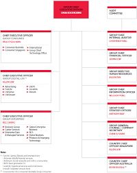 Singtel 2013 Annual Report Organisation Structure
