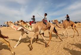 Western countries debate it as a public health issue. Child Camel Jockeys Being Replaced By Robots