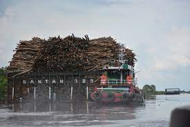 We did not find results for: Pt Oki Pulp And Paper Mills Perusahaan Kertas Terbesar Di Dunia Saat Ini Info Wisata Kuliner Hotel Dan Fotografi