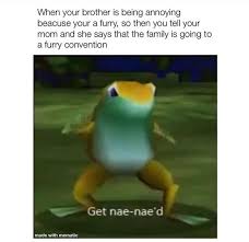 Pin By Deirdre Spencer On Ideas For Fur Suit Furry Meme Stupid Memes Funny Relatable Memes