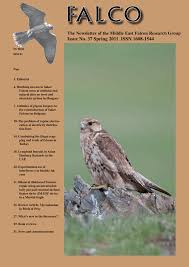 PDF) Experimental use of Interferon-γ in healthy falcons.