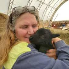 school news Archives