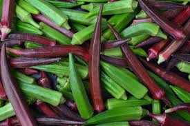 Image result for Abelmoschus esculentus