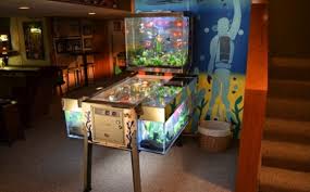 All cool betta tanks have a few things in common. Unique Betta Fish Tanks Vang Bettas