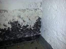 Materialien, auf denen schimmelpilze wachsen, müssen gereinigt oder entfernt werden. Feuchtigkeit In Der Wohnung So Handeln Sie Richtig