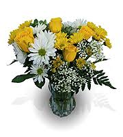 Find opening times and closing times for flowers by bauers & greenhouse in 1110 baldwin mill rd, jarrettsville, md, 21084 and other contact details such as address, phone number, website, interactive direction map and nearby locations. Flowers By Bauers Greenhouses Any Occasion Jarrettsville Md 21084 Ftd Florist Flower And Gift Delivery