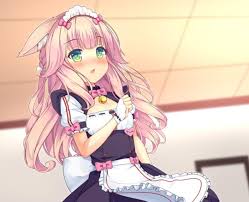 Want to discover art related to umemaro3d? I Am Way Too Excited For Nekopataiten And Vol 4 How Excited Are You Guys Nekoparagame