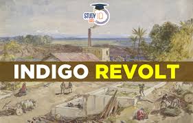 Indigo Revolt in Bengal, Leaders, Causes, Consequences