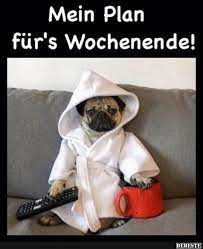 11,747 likes · 32 talking about this. Mein Plan Fur S Wochenende Freitag Spruche Lustig Lustig Lustige Bilder