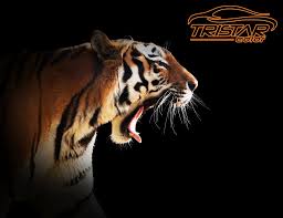 Image result for Ginger Brown 2014 Peugeot