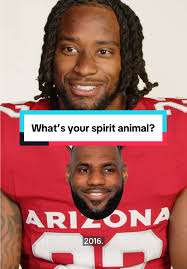 LeBron James: What’s Your Spirit Animal?