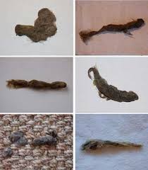 Cet article présente les différents objets magiques présents dans l univers de harry potter. Boules De Poils Chez Le Chat Risques Et Solutions