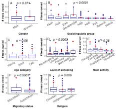Image result for Synsepalum chimanimani