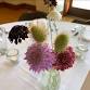 Moscow Welcome Table event in Moscow, ID
