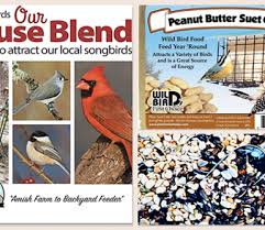 Birdwatchers Feed Birds Enjoy Nature