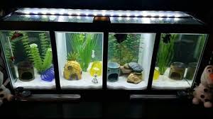 Gorgeous Divided 20 Gallon Betta Tank With 30 Inch Glass Canopy 30 Inch Led Light Strip 100 Watt Adjustable Heater And Betta Tank Betta Fish Tank Betta Fish