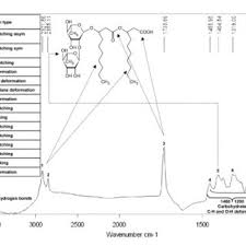 Frank Leitermann's research works