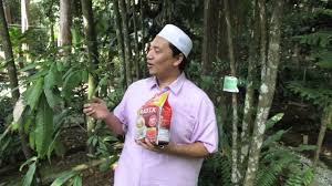 Do a little test on the leave. Ep 6 Kenali Herba Bersama Pak Haji Pokok Tongkat Ali Putih Youtube