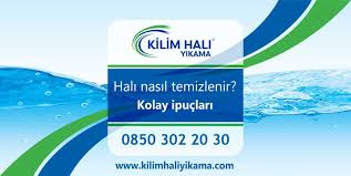 Evcil hayvan olan evlerde halı bakımı nasıl yapılır? Hali Nasil Temizlenir Kolay Hali Temizleme Ipuclari