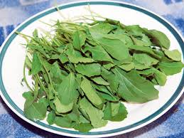 We did not find results for: You Are Eating Toxic Salad Greens Uae Gulf News
